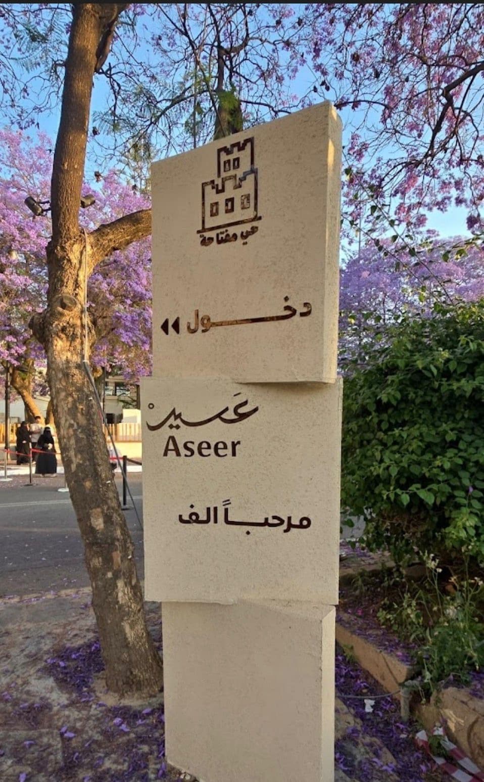 يوم في أبها - جولة المدينة والثقافة 