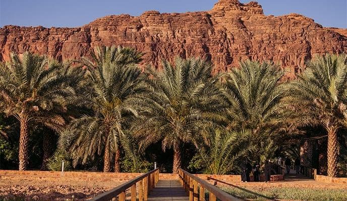جولة على مسار الواحة التراثي في العلا