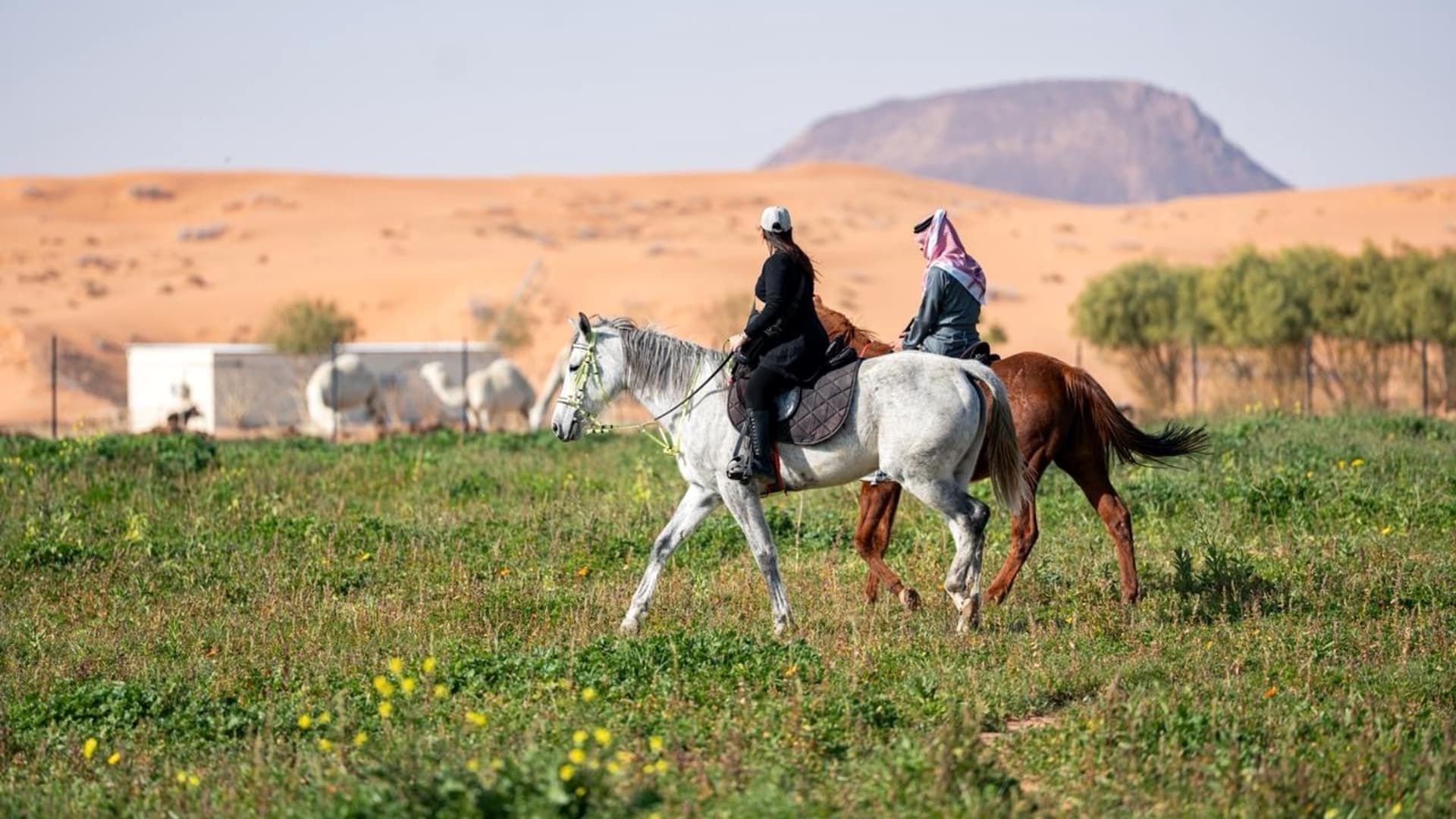 تجربة ركوب الخيل وسط طبيعة حائل