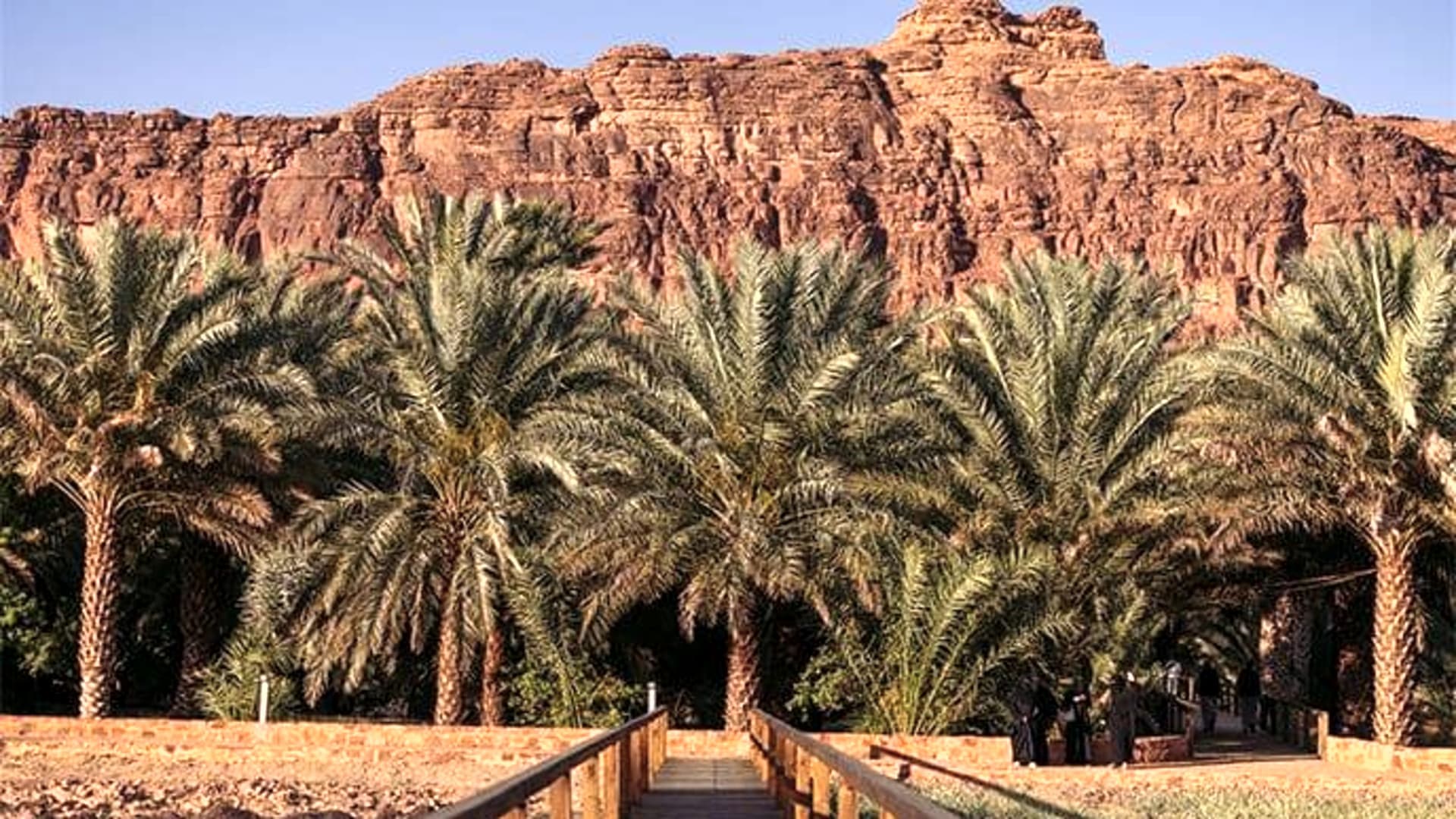 جولة على مسار الواحة التراثي في العلا