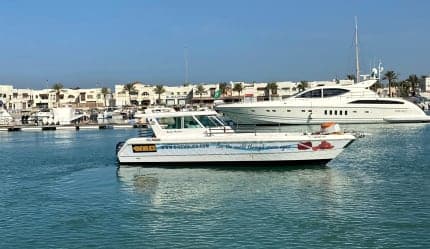 رحلة غوص نصف يوم في البحر الأحمر مع مدرب