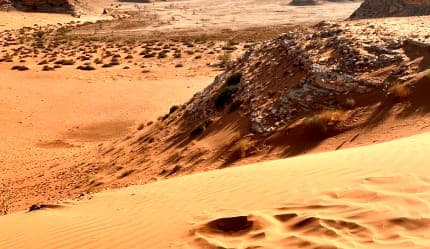برنامج يومين في الرياض (يوم في حافة العالم، ويوم منطقة قصر الحكم)