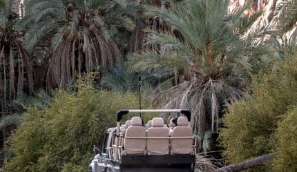 تجربة السفاري بين جبال حائل