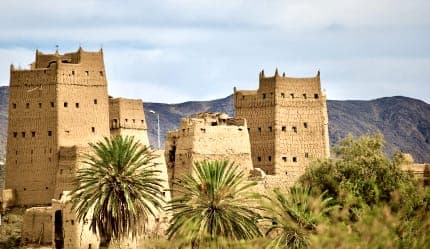 تجربة موسم الجاكرندا في أبها – جولة البنفسج الساحرة