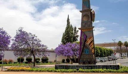 تجربة موسم الجاكرندا في أبها – جولة البنفسج الساحرة