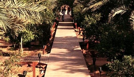 جولة على مسار الواحة التراثي في العلا