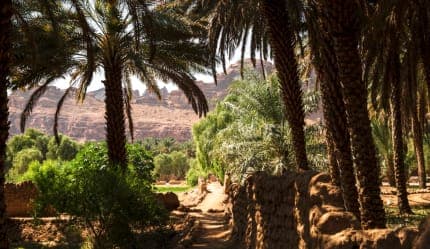 جولة على مسار الواحة التراثي في العلا