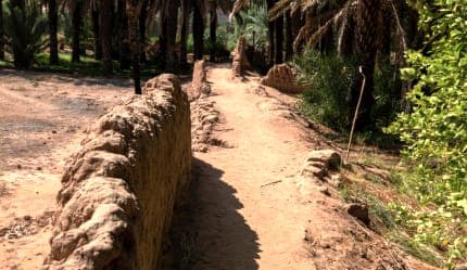 جولة على مسار الواحة التراثي في العلا