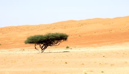 قمة الوعي للهايك في جدة