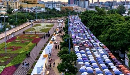 استكشف أبها جولة بين الطبيعة والتراث
