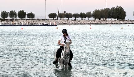 ركوب الخيل في الخبر
